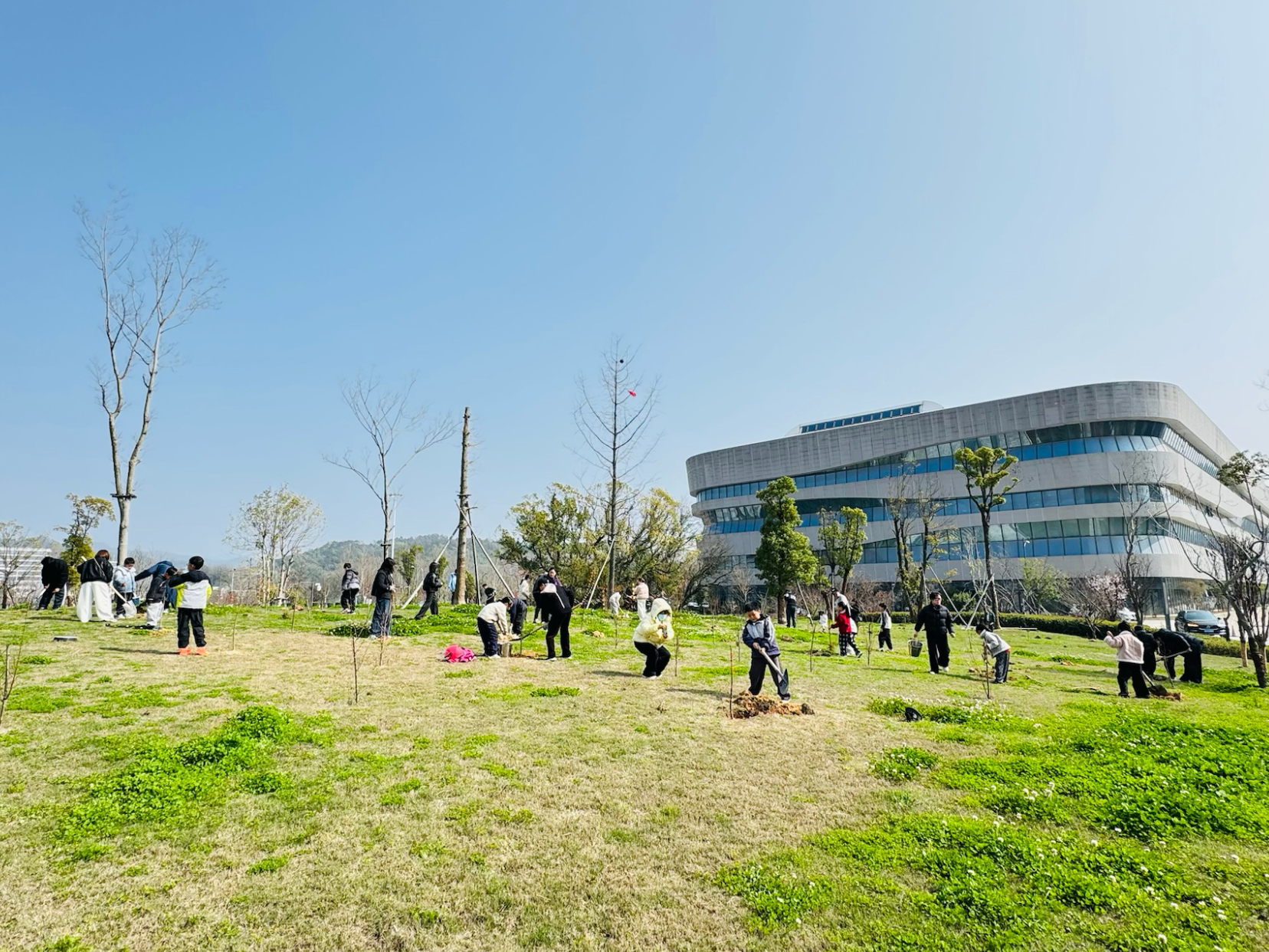 活动回顾|2026李宁体育园第三届“绿满春天”植树节活动圆满落幕，以爱植绿，共赴新程！